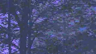 Dreamland 18 Jason & Summer’s Alone Time After Car Breakdown