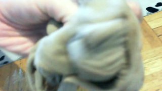 Gorgeous Vaginal Orgasms for This Eager Italian Student