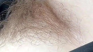 Closeup Hairy Moments