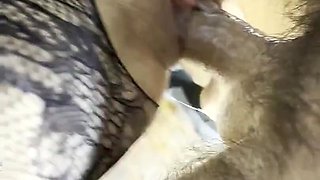 A Creamy Pussy Being Fucked Hard