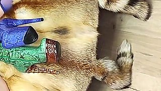 Lesbian Fur Fetish Fucking with Strapons, Tons of Fur, Huge Squirts on Fur Coat