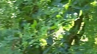 Muscular Homosexuals Hard Banging In The Forest