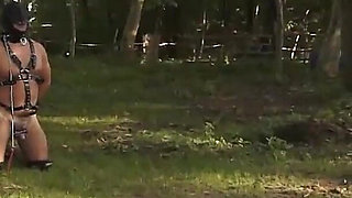 Sexy Latina Domina Punishing Male Sex Slaves