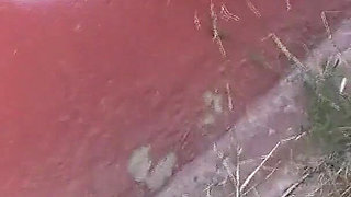 Luna Rival Pick up on the Street and Fucked