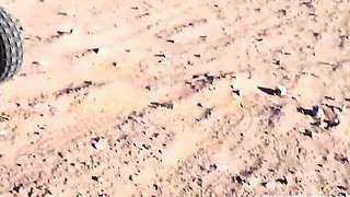 Showing perfect ass while riding an ATV