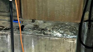 Amateur girlfriend fingered and rammed outdoors at the beach