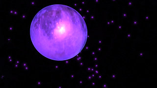 Thirsty my guest - Felicia's gallery scene