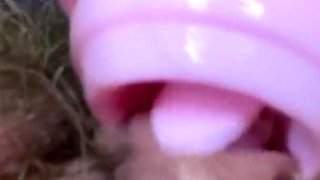 Testing clit licker pussy licking toy