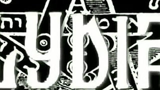 Trailer 483