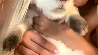 Shaved pussy blonde Tasha Reign with big boobs goes solo