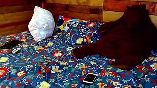 amateur innocent doll1 fingering herself on live webcam