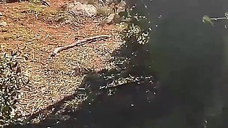 French Girl Sucking Amateur on Nude Beach Public in Greece to Stranger with Cumshot - Misscreamy