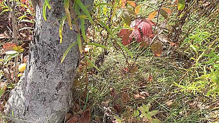 Perfect Body Tiny Petite Hana