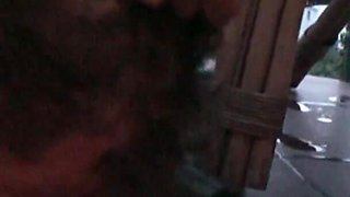 Brat Teen Humiliate Slave Joschi to Eat Her Cigarettes