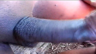 Hood Encounters - Scene 9 (Alt)