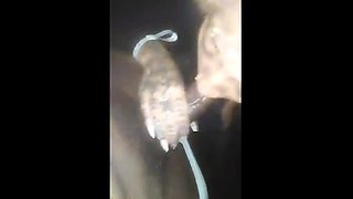 Cute amateur cam girl plays with her pussy and ass close up