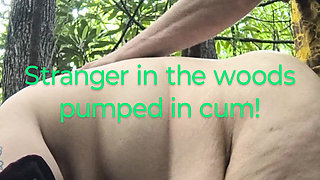 Bended This Stranger Over in the Woods Tree Covered
