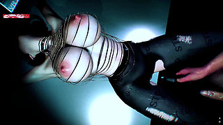 Bigboobs the Goddess Model From Cyberspace - 3D Animation Hentai