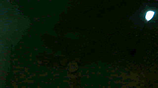 Sucking Those Tits Makes My Sister in Law Sso Horny and Made Her Fuck Me in Several Ways