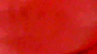 Lick His Balls and Blowjob Cum Swallow
