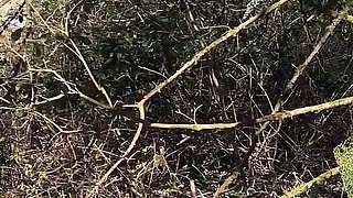 Filthy Hotwife Gets Creampie From Random Stranger in the Park - Hub Gets to Clean up at Home