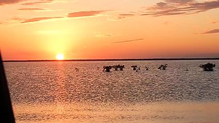 Busty blonde babe outdoor flash for cash
