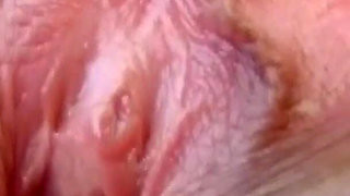 Stella Stevens Is Hot as Fuck - Solo