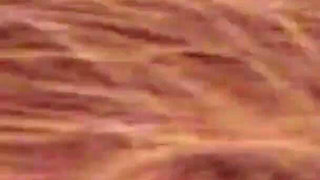 My Wife's Sister Loves to Suck My Cock When We Are Alone