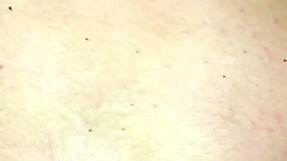 Wife Taking Double Creampie in Pussy in Amateur Homemade Threesome Sex - Milky Mari