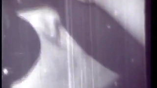 Interracial sex in the sixties