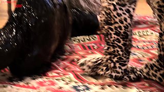 Amateur medical fetish and bdsm doctor pussy