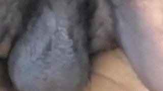 Horny Wife Fucked Until Cum Inside Hairy Pussy - BBC Big Cock Creamy Dripping Wet Pussy