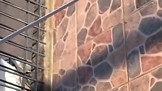 I Fucked the Maid's Hot Ass When My Wife Left Anal Sex