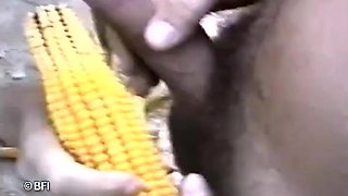 The Corn On The Cob
