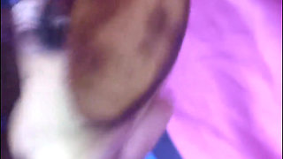 Fucking My Black Hairy Pussy with a Banana Load Moaning Orgasms