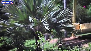 Incredible Adult Video Pov Hot , Watch It - Sweetie Fox