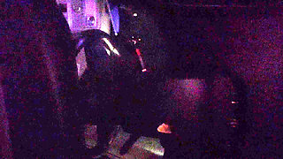 Wife Fuck and Suck Back Seat With a Facial