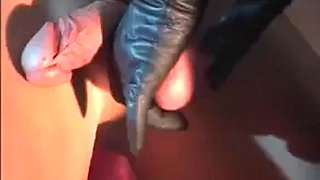 Cigar Slave