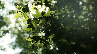 Big Ass Stepdaughter Fucked Until We Find Out She’s Been Knocked up