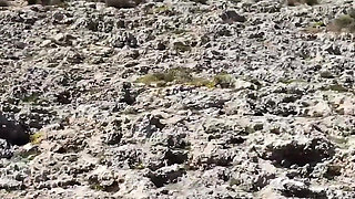 Spontaneous Fuck on the Side of the Road Hungry MILF Gives It Her All