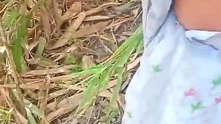 Village Local Bhabhi Outdoor Sex Video