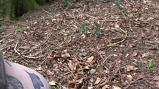 Bambi in the Woods
