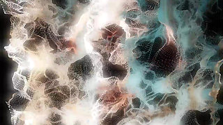 Top Anime Girls collection