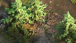 The Genesis Order V04122 Part 9 a Hot Workout by Loveskysan69