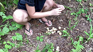 Picking wild Fruits and Eat