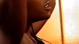 The African Stallion