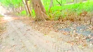 Village bhabhi jungle me mangal xxx video