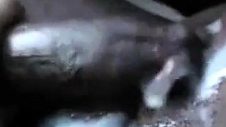 Homeless Blowjob for Interracial Amateur