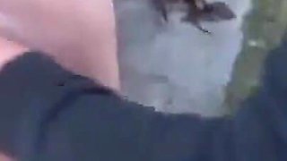 Fucked in the countryside