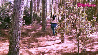 Walking Forest - Video for Fans with Slowmotion